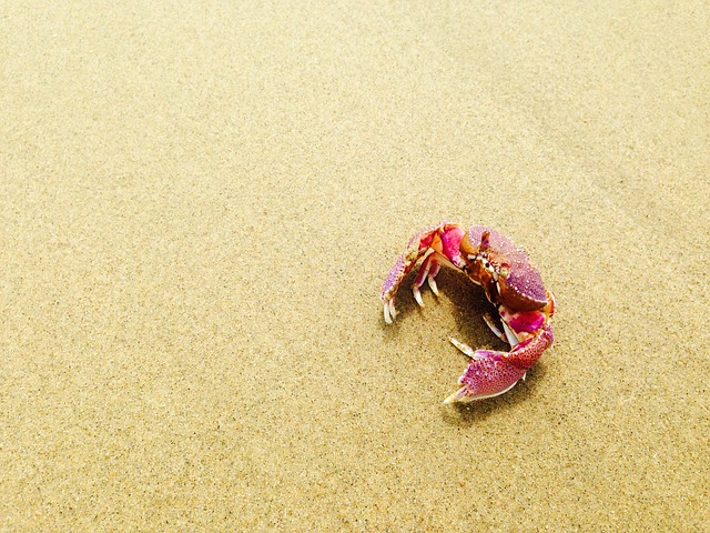 písek u moře